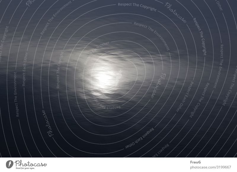 Sonne spiegelt sich im Wasser |Trash Wasseroberfläche Kräuselung Reflexion & Spiegelung Wasserspiegelung See Licht Lichteinfall von oben