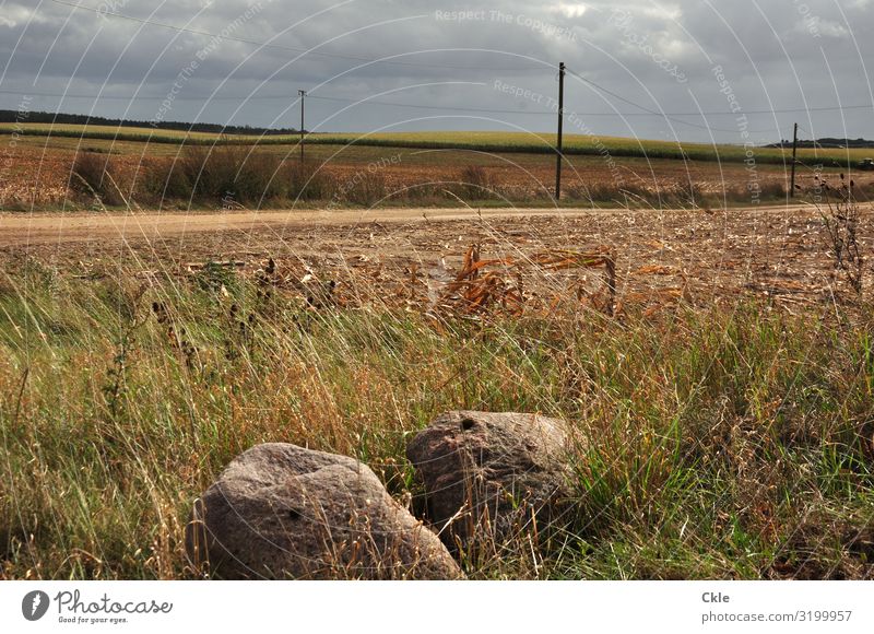 130 Kilometer bis Berlin Strommast Umwelt Natur Landschaft Pflanze Erde Himmel Wolken Gewitterwolken Horizont Wetter Unwetter Wind Sturm Gras Sträucher Wiese