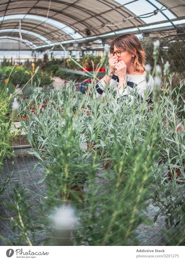 Nachdenkliche Frau wählt Blumen auf dem Markt Gewächshaus Pflanze grün auserwählend Gartenarbeit Kunde Zimmerpflanze Erwachsene Mensch Fürsorge besinnlich