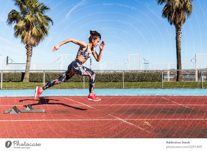 Schlanke Frau rennt im Stadion rennen Bahn Geschwindigkeit Sport Athlet Himmel Sonnenstrahlen Tag Sportbekleidung dünn stark Erholung Fitness Sprint Aktion