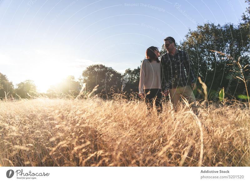 Liebespaar beim Spaziergang auf goldenem Feld Paar Sonnenuntergang ländlich Gold Zusammensein romantisch schön Gras Zufriedenheit Partnerschaft Aussicht