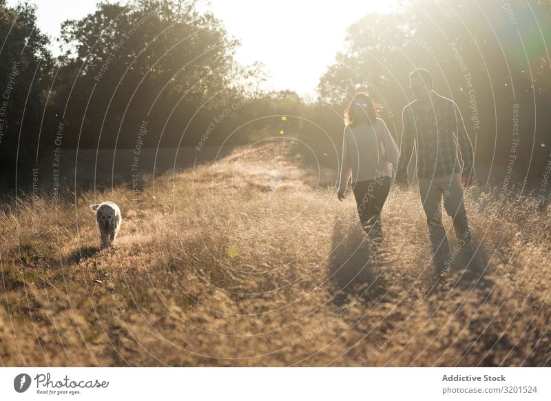 Paar mit Hund auf dem Land bei Sonnenuntergang Landschaft Feld Spaziergang harmonisch Zusammensein heimisch Gold ländlich Partnerschaft romantisch Länder