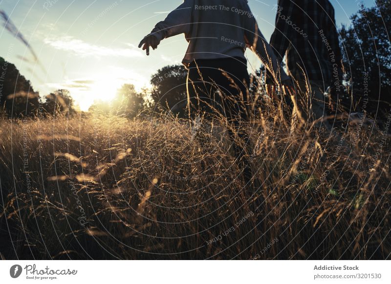 Liebespaar beim Spaziergang auf goldenem Feld Paar Sonnenuntergang ländlich Gold Zusammensein romantisch schön Gras Zufriedenheit Partnerschaft Aussicht