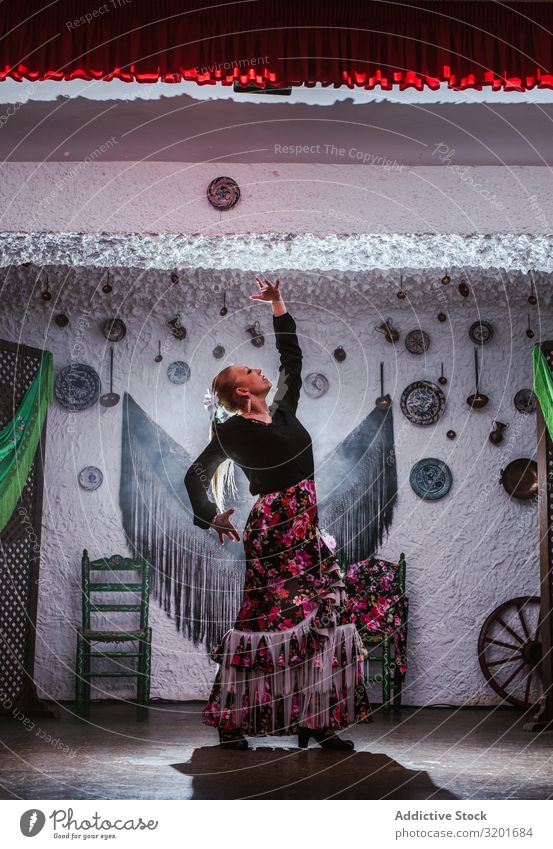 Tänzerin im Flamenco-Kostüm stehend in Tanzhaltung Flamencotänzer Tablao Frau Rock schön Ausdruck genießen attraktiv elegant Spanisch Tradition Inspiration