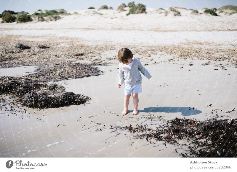 Barfüßiges Kind in kurzen Wellen am Sandstrand klein winken Strand Barfuß Säuglingsalter niedlich Freude erkundend schön heiter Kindheit Fundstück hübsch