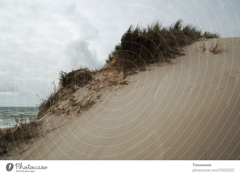 Viel Sand, etwas Nordsee und Wolken Düne Dünengras Wasser Wellen Himmel Strand Landschaft Natur Erholung Ferien & Urlaub & Reisen Küste