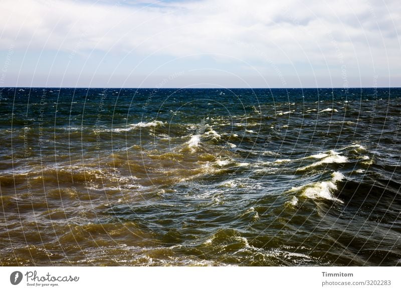 Nordseewellen - eher dunkel Meer Wellen Gischt blau grün Wasser Natur Dänemark Urelemente Horizont Himmel Wolken Ferien & Urlaub & Reisen Farbfoto