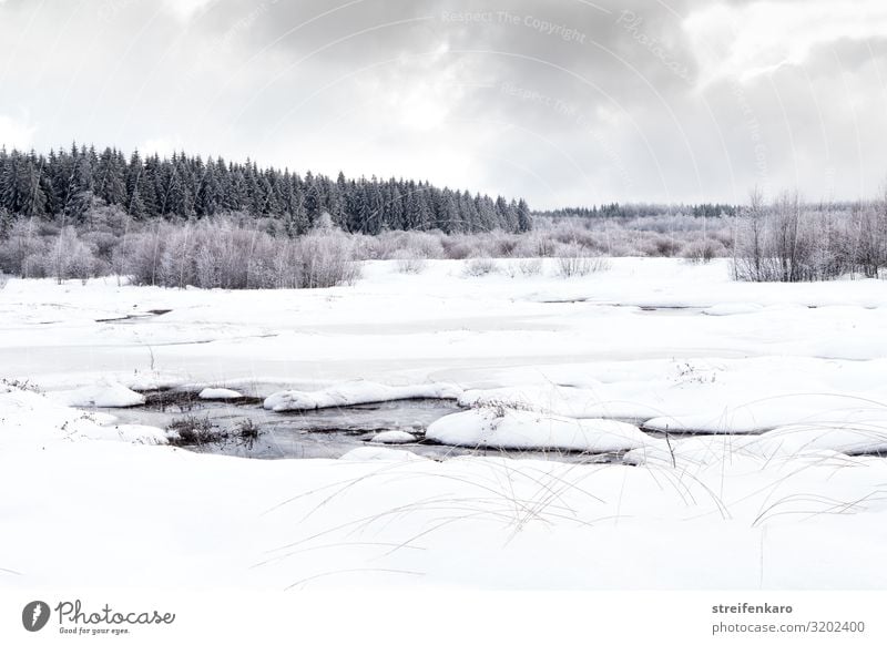 Trübe Aussichten Ferien & Urlaub & Reisen Tourismus Ausflug Winter Schnee wandern Umwelt Natur Landschaft Pflanze Urelemente Luft Wasser Himmel Wolken Eis Frost