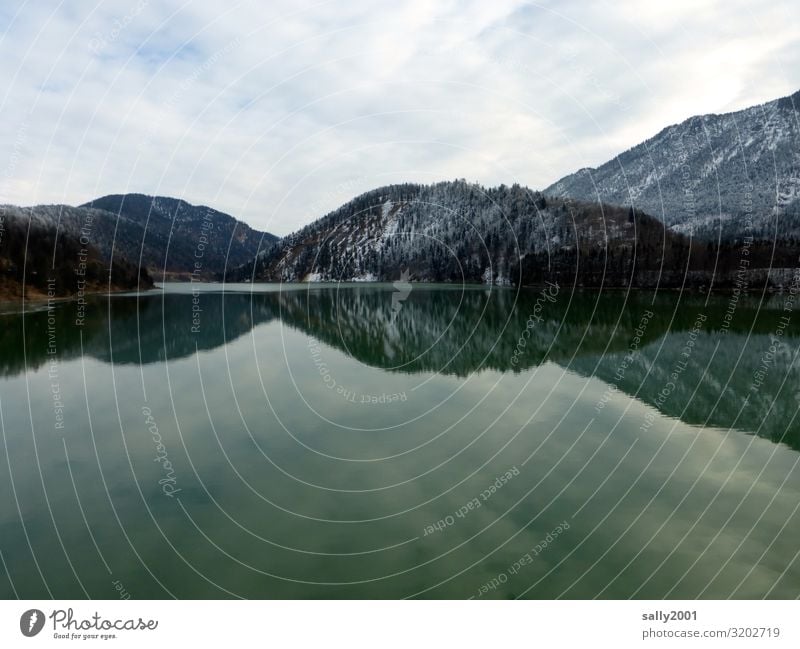 still ruht der Sylvensteinspeicher... Stausee Isar Isarwinkel See Winter Berge Alpen Voralpenland Wasserreservoir kalt grau Spiegelung Reflexion & Spiegelung