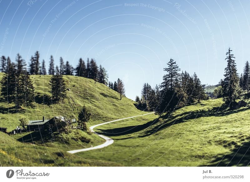 Bayern Mountain Natur Landschaft Luft Himmel Sonne Schönes Wetter Wärme Baum Gras Alpen Stimmung Abenteuer Kraft Leben Farbfoto Außenaufnahme Tag