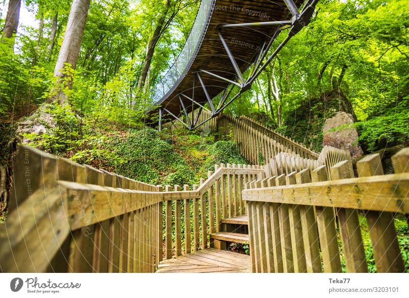 Felsenmeer #2. Umwelt Natur Landschaft Pflanze Park Wald Urwald Abenteuer Hemer Waldlehrpfad Farbfoto Außenaufnahme