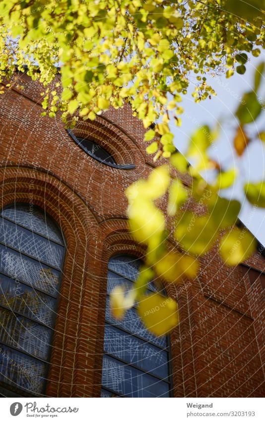 Kirche Stein rot Glaube Christentum Gottesdienst Herbst Gebäude liturgie Farbfoto Außenaufnahme Textfreiraum unten Schwache Tiefenschärfe