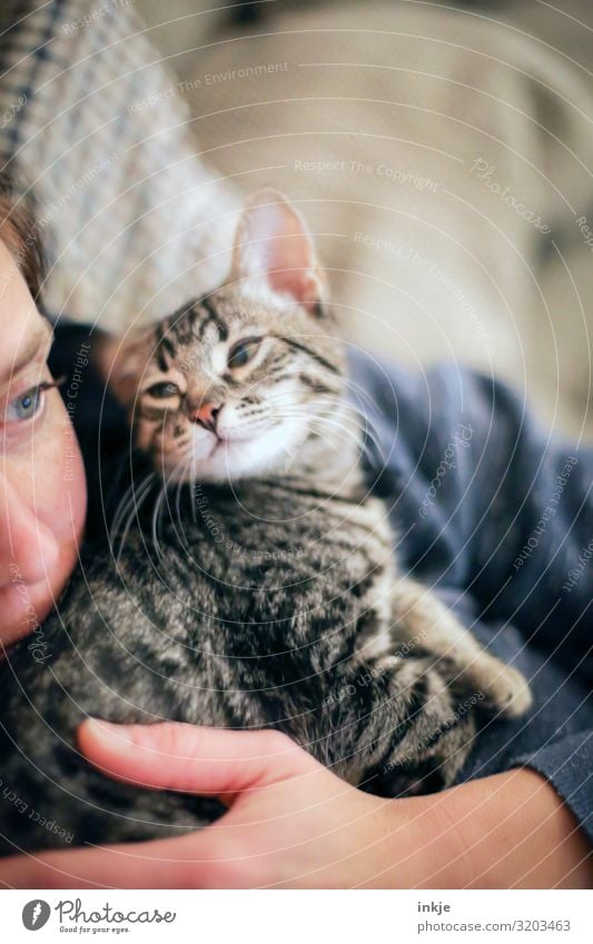 Kuscheln Lifestyle Freizeit & Hobby Häusliches Leben feminin Frau Erwachsene Gesicht Hand 1 Mensch Haustier Katze Tier Tierjunges festhalten authentisch