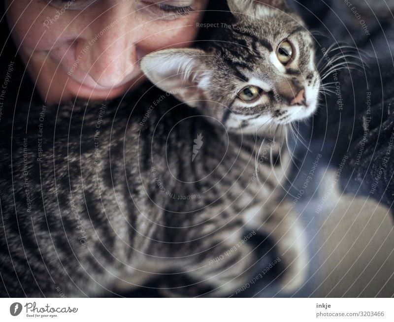 Nähe Lifestyle Freizeit & Hobby Häusliches Leben feminin Gesicht 1 Mensch Tier Katze Tiergesicht Tierjunges Lächeln Blick kuschlig nah niedlich Gefühle Freude