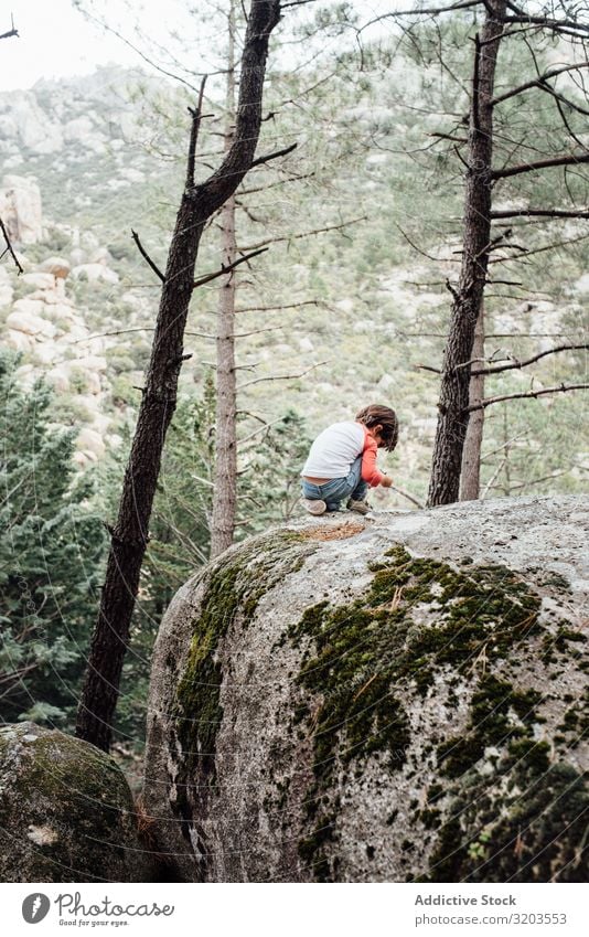 Junge geht auf felsigem Hügel Natur Spaziergang laufen Felsen Ferien & Urlaub & Reisen Kind Unbekümmertheit Landschaft abwärts Abenteuer Aktion Kindheit klein