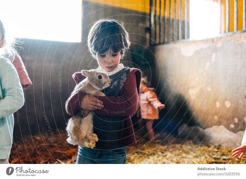 Charmanter kleiner Junge mit Kaninchen reizvoll Hase & Kaninchen Bauernhof Sommer niedlich Garten flockig Kind Umarmen Glück unschuldig Kindheit spielerisch süß