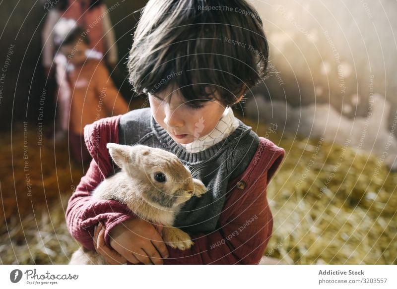 Charmanter kleiner Junge mit Kaninchen reizvoll Hase & Kaninchen Sommer niedlich Garten flockig Kind Umarmen Glück unschuldig Kindheit spielerisch süß grau