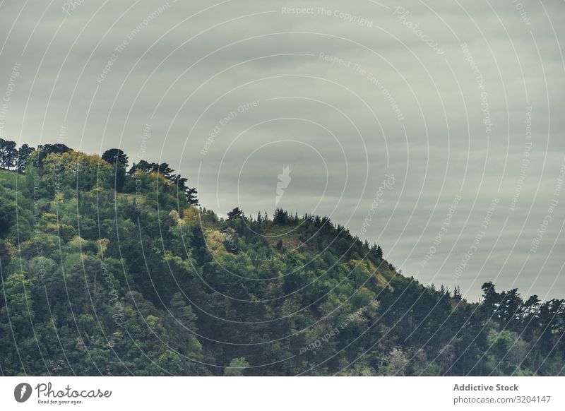 Bewölkter Himmel über grünem Hügel Wolken Baum grau Wetter zarautz Strand Spanien Landschaft Natur Menschenleer Halde Berghang Wolkendecke matt Stimmung Pflanze