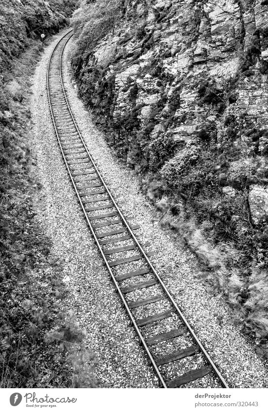 Es geht ein Gleis nachnirgendwo Landschaft Verkehr Verkehrsmittel Verkehrswege Öffentlicher Personennahverkehr Bahnfahren Schienenverkehr Eisenbahn Personenzug