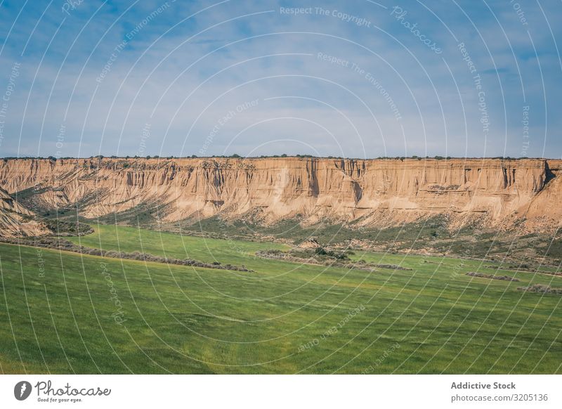 Wüstenlandschaft mit grüner Vegetation auf blauem Himmelshintergrund Landschaft Sand Pflanze Ausflug regenarm Natur Ferien & Urlaub & Reisen heiß Düne Tourismus