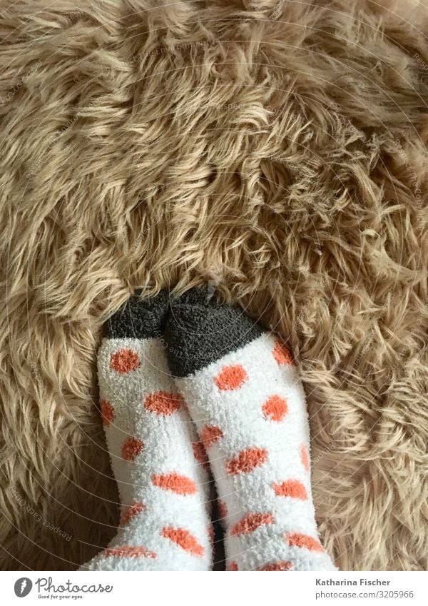 Socken flauschig Fell Fuß Winter stehen Wärme braun grau orange weiß Strümpfe heizen kuschlig Fleck weich Kuscheln Farbfoto Innenaufnahme Tag