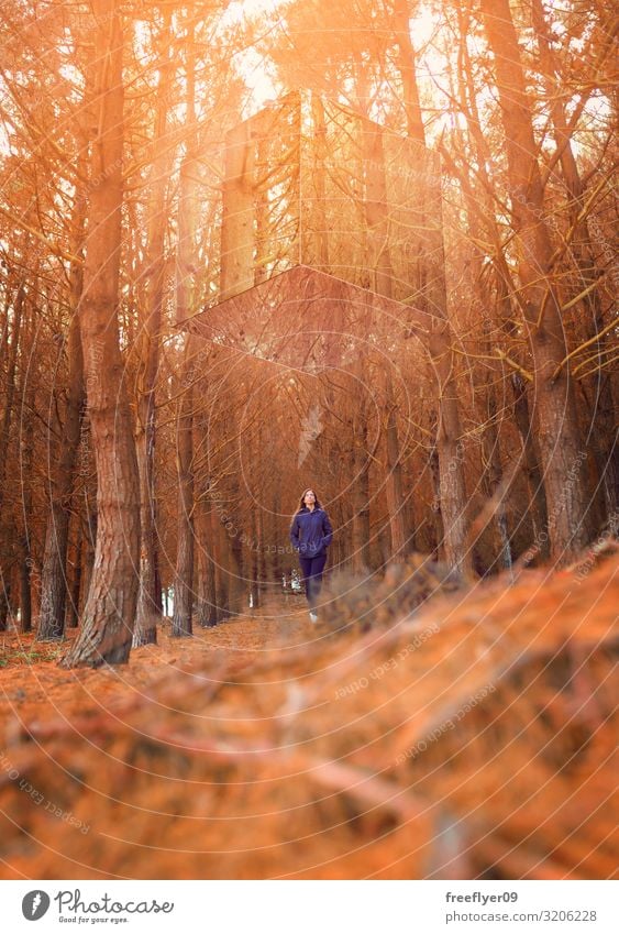 Frau und mysteriöser Spiegelwürfel Ferien & Urlaub & Reisen Tourismus Ausflug Abenteuer Ferne Freiheit Sightseeing Sonne Winter wandern Junge Frau Jugendliche