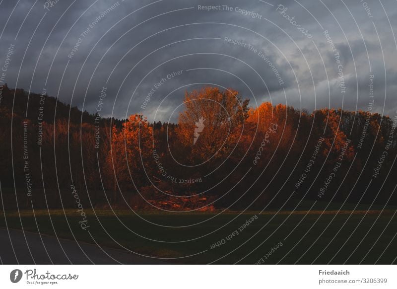 Wolkenhimmel mit Abendsonne Natur Landschaft Himmel Sonnenlicht Herbst Baum Feld Wald beobachten genießen leuchten Blick außergewöhnlich fantastisch gigantisch