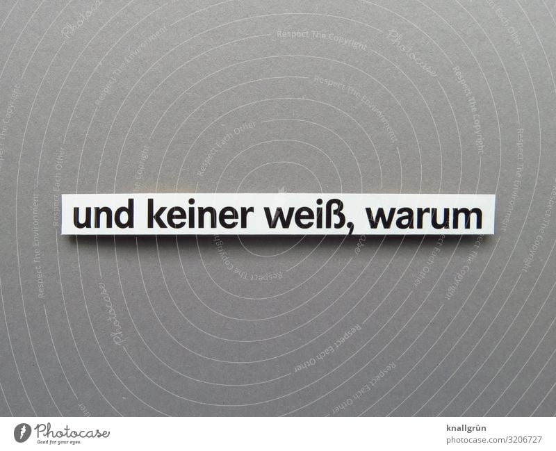 Und keiner weiß, warum Kommunizieren ratlos Sprache Wort Buchstaben Typographie Schriftzeichen Lateinisches Alphabet Letter Text Freisteller Studioaufnahme