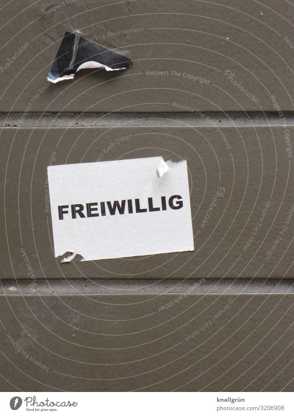 FREIWILLIG Mauer Wand Schriftzeichen Schilder & Markierungen Kommunizieren kaputt grau schwarz weiß Gefühle Zufriedenheit Opferbereitschaft Selbstlosigkeit