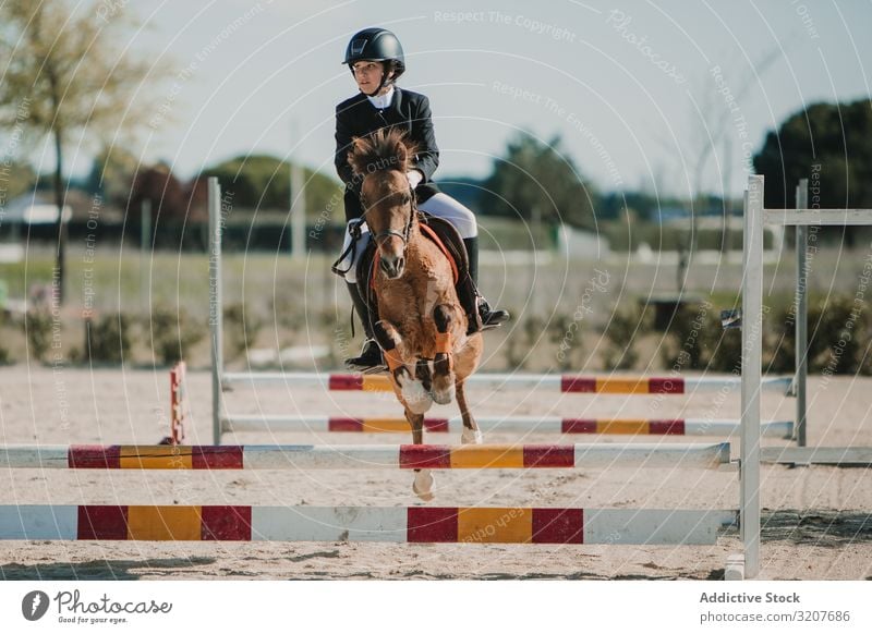 Mädchen reitet Pferd und springt über Stangen Frau springen Bar Rennbahn Mitfahrgelegenheit Sport Tier Reiterin Training aktiv Sprung vorbei Pferderücken