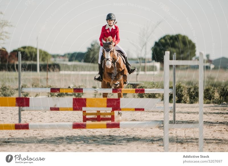 Mädchen reitet Pferd und springt über Stangen Frau springen Bar Rennbahn Mitfahrgelegenheit Sport Tier Reiterin Training aktiv Sprung vorbei Pferderücken