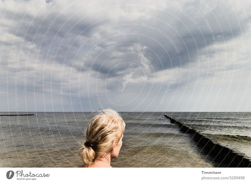 Ostsee sehen Ferien & Urlaub & Reisen feminin Frau Erwachsene 1 Mensch Umwelt Natur Urelemente Wasser Wetter Holz Linie Blick träumen ästhetisch einfach Gefühle