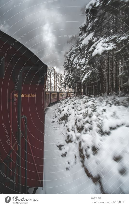 Nichtraucher Landschaft Pflanze Himmel Wolken Winter schlechtes Wetter Schnee Baum Berge u. Gebirge Personenverkehr Öffentlicher Personennahverkehr Bahnfahren