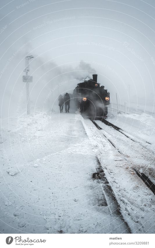 Winterzeit Landschaft schlechtes Wetter Wind Eis Frost Schnee Schneefall Verkehr Verkehrsmittel Verkehrswege Personenverkehr Öffentlicher Personennahverkehr