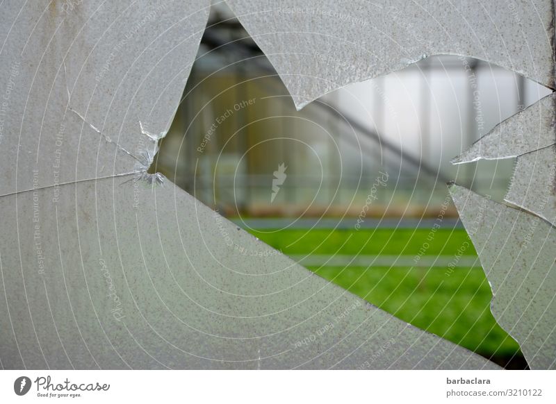 Vorsicht, scharf! | gewaltsamer Einblick Gartenarbeit Gärtnerei Landwirtschaft Forstwirtschaft Gebäude Gewächshaus Fassade Fenster Glas Linie Blick eckig kaputt