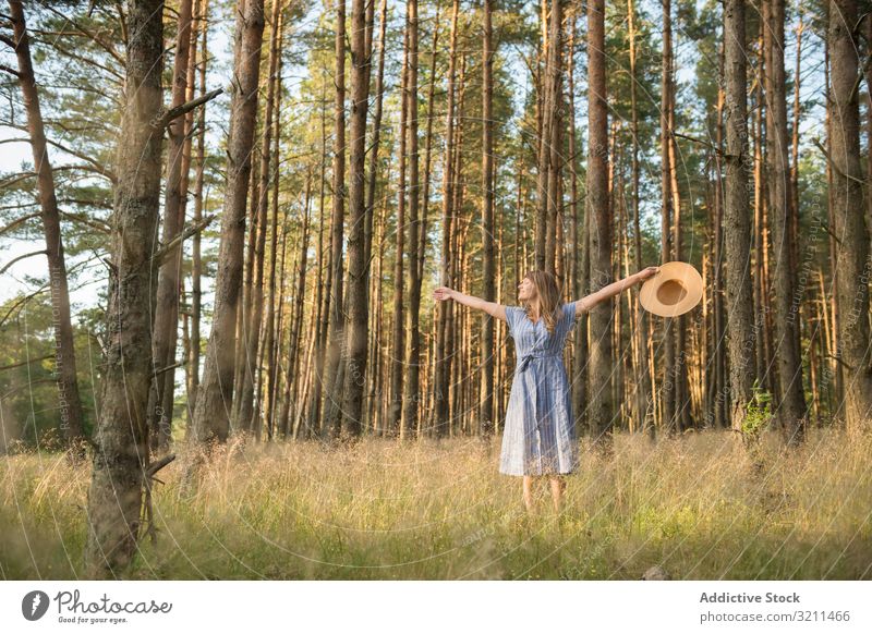 Lächelnde junge Frau entspannt zwischen Kiefern Strahl Wälder sorgenfrei Sonnenlicht Wald Glück Natur lässig sinnlich golden Abenteuer Strohhut blond Kleid