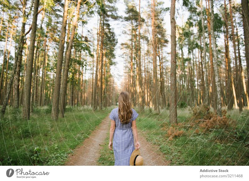 Junge Frau steht zwischen Kiefern Wald Straße lässig erkunden Wälder sorgenfrei Spaziergang Strohhut sonnig blond Umwelt nadelhaltig nida Litauen schlendern