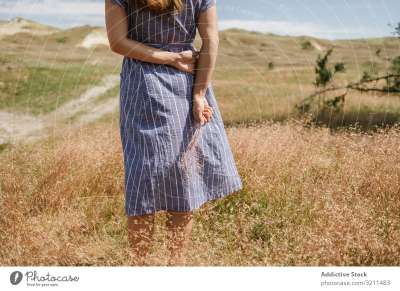 Junge Frau sammelt getrocknete Stacheln Feld Gras Landschaft sich[Akk] sammeln gold Kleid Wölkchen stehen Spitze Freiheit Sonnenschein Sommer ländlich nida