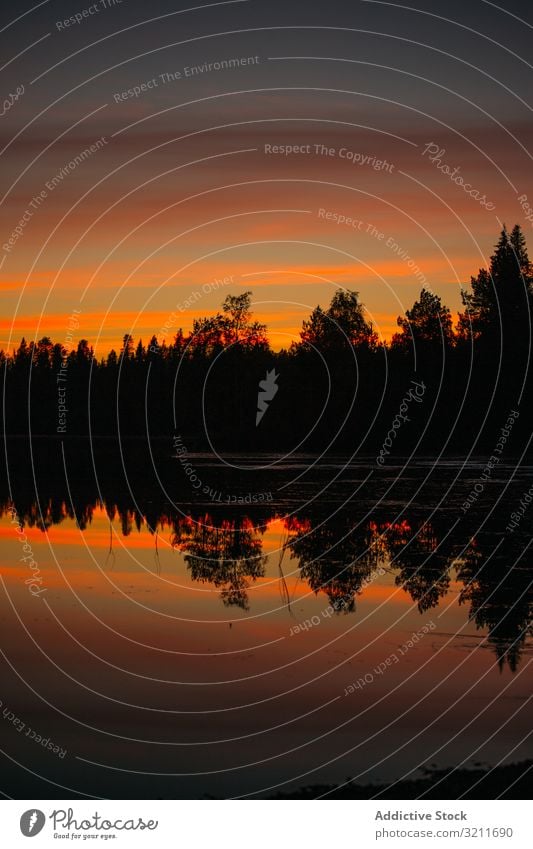 Sonnenuntergangshimmel über Bäumen und Sumpf Sumpfgebiet Wasser Baum Silhouette Wald hell Abend Natur Finnland Landschaft Abenddämmerung Dämmerung Umwelt