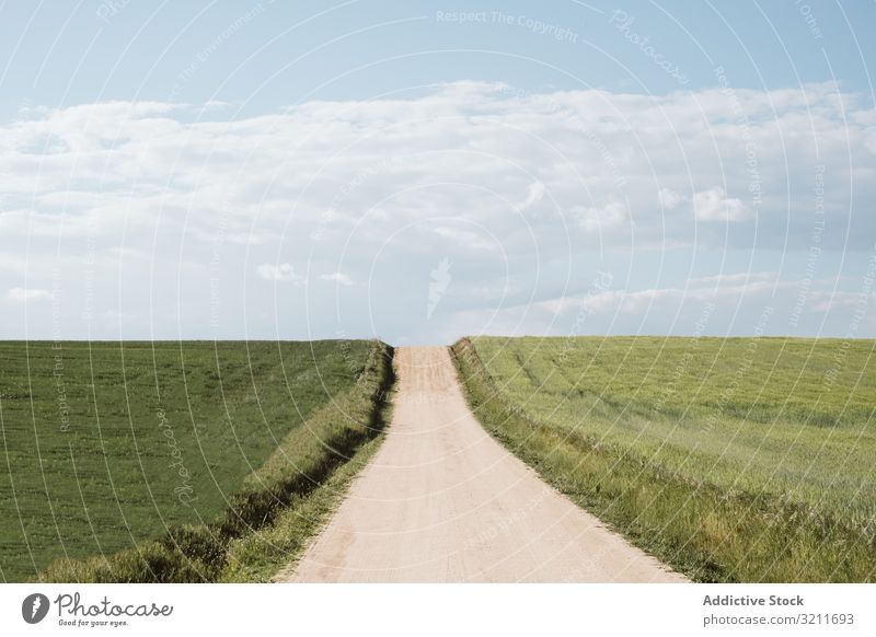 Wunderschöne Landschaft mit Straße zwischen den Feldern Gras grün Natur reisen Abenteuer Ausflug Tourismus Sommer Menschenleer Wiese Himmel ländlich Grasland