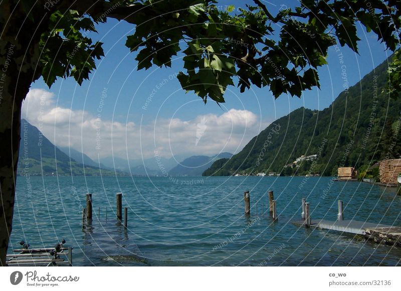 Traumblick See Aussicht Gebirgssee traumhaft Natur Wasser