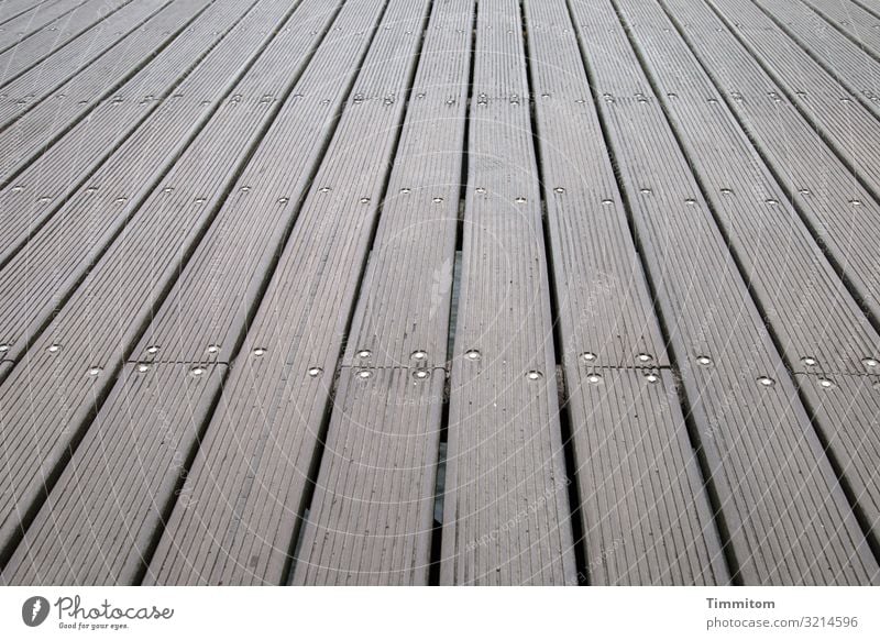 Auf der Seebrücke Ferien & Urlaub & Reisen Sehenswürdigkeit Holz Metall Linie ästhetisch einfach braun grau Gefühle Steg Dielenboden Ostsee Platz leer Farbfoto