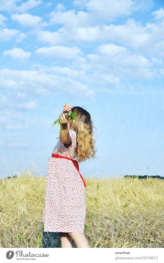 mädchen auf einem sommerlichen strohfeld mit gräsern in der hand, seitlich betrachtet Kind Mädchen Sommer Kleid Strohfeld Getreidefeld Blick brav Körperhaltung