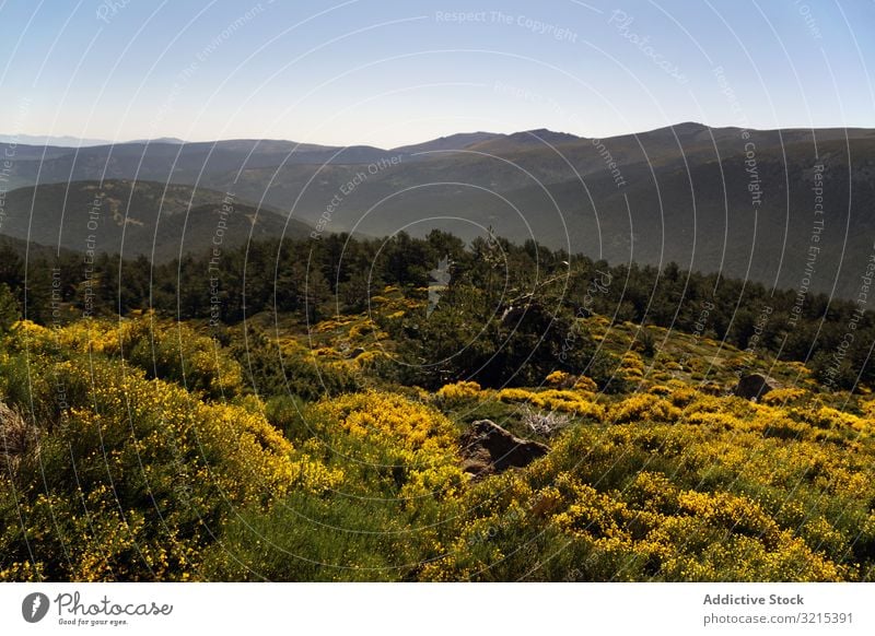 Malerische Landschaft mit grünen Bergen im Sommer Wald Natur malerisch Umwelt Hügel wild felsig wandern Höhe Botanik Flora Blauer Himmel sierra de guadarrama