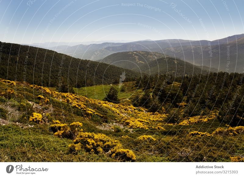 Malerische Landschaft mit grünen Bergen im Sommer Wald Natur malerisch Umwelt Hügel wild felsig wandern Höhe Botanik Flora Blauer Himmel sierra de guadarrama