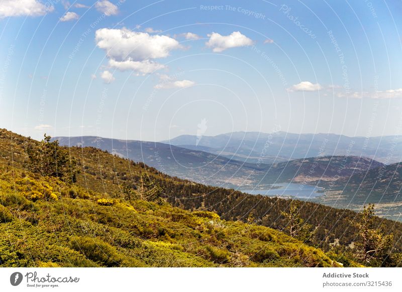 Malerische Aussicht auf schöne grüne Hügel malerisch Ansicht Blume blau wolkenlos Himmel Natur Landschaft Wiese idyllisch Blüte Überstrahlung Sommer ländlich