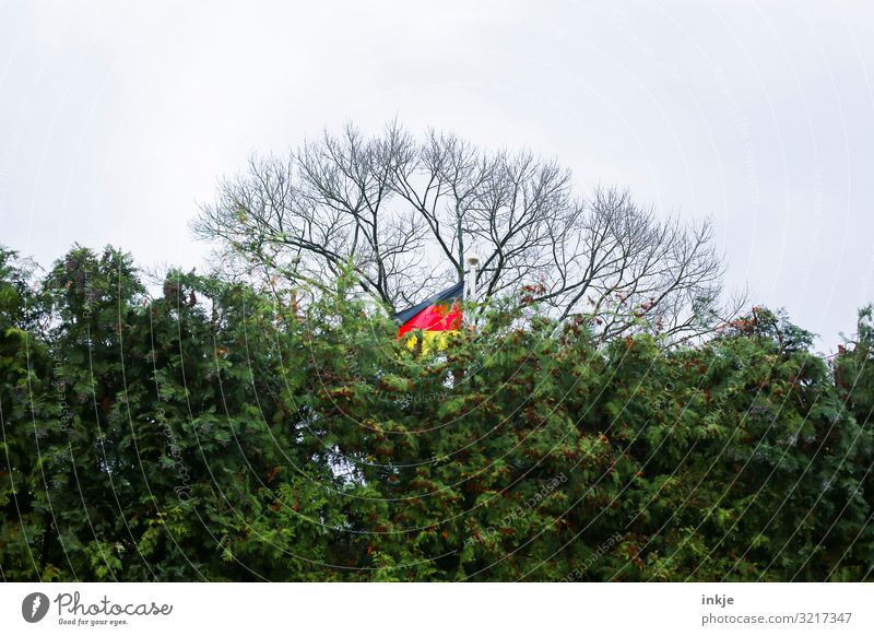 Deutschlandflagge dahinter Himmel Wolken Herbst schlechtes Wetter Baum Sträucher Hecke Streifen Fahne Deutsche Flagge grün rückwärts wehen Schrebergarten