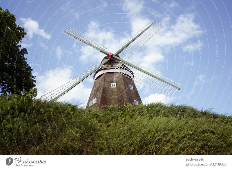 Art der Müllerin Landwirtschaft Architektur Himmel Wolken Schönes Wetter Baum Sträucher Müritz Windmühle Wahrzeichen Windmühlenflügel authentisch historisch