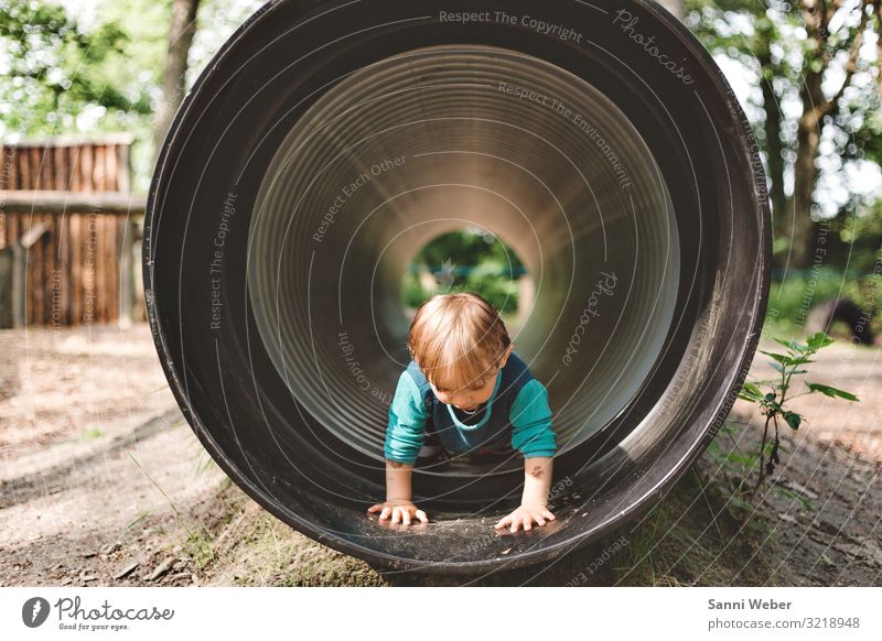 Entdecken Kind Junge Kindheit Leben Kopf 1 Mensch 3-8 Jahre Natur Pflanze Tier Sonne Sommer Schönes Wetter Baum Sträucher Grünpflanze Park Wald Spielen