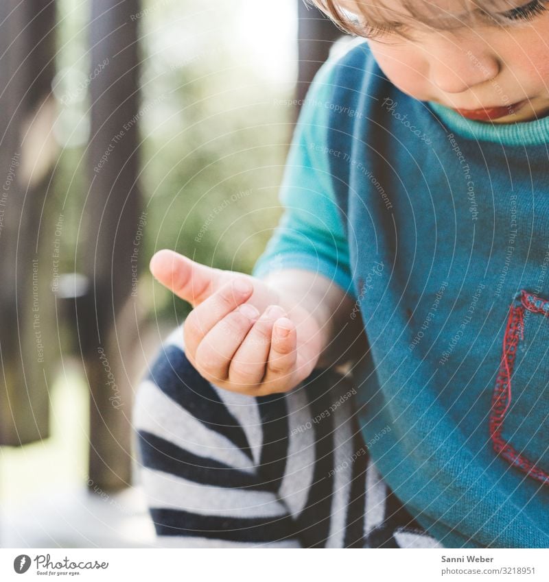 Entdecken Mensch maskulin Kind Kleinkind Junge Kindheit Körper 1 1-3 Jahre Natur Sommer Schönes Wetter Identität entdecken Abenteurer Jungengesicht blau